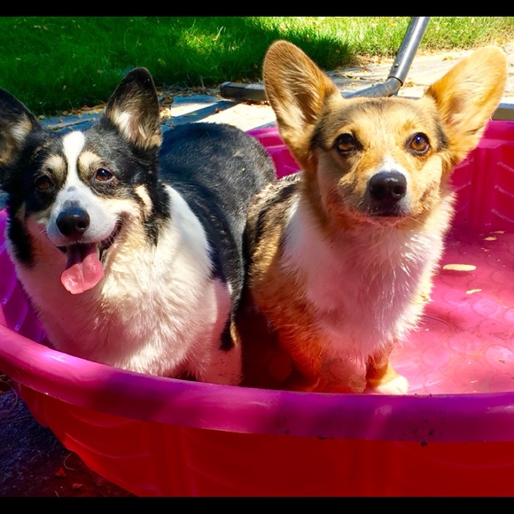 Meet your Posher, T - Picture 2 of 6